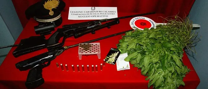 Coltivazione di stupefacente e detenzione illegali di armi: due arresti nel crotonese