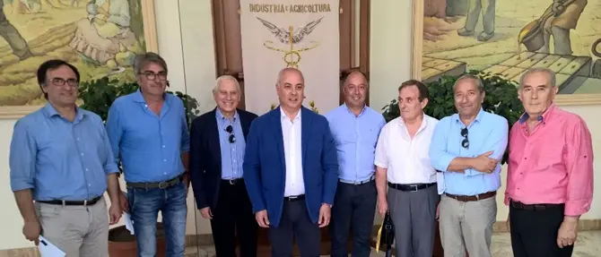 Cosenza, costituita l'associazione 'Strada del Vino e dei Sapori'