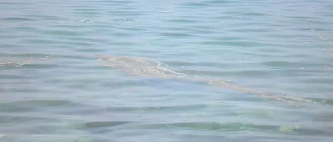 Mare off limits nel lametino