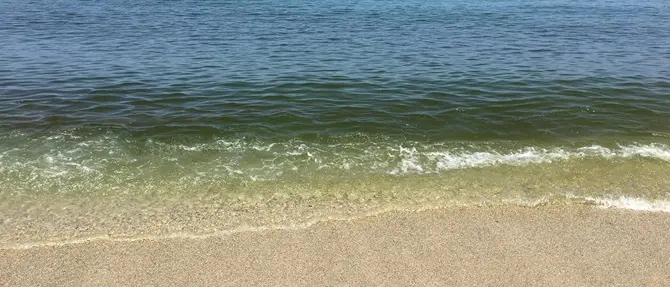 ‘Vogliamo un mare pulito’: il 15 luglio la manifestazione a San Ferdinando