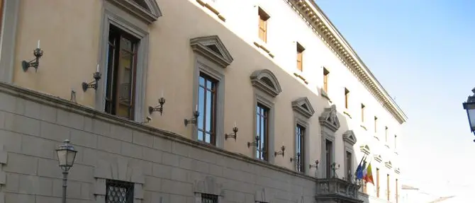 Catanzaro, topi a spasso per la città