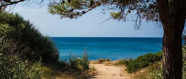 Circolo Arci Ubimaior - Another Beach Project, avvio con successo della stagione estiva