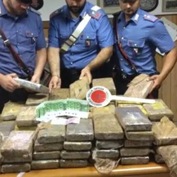Sorpreso con oltre 100 chili di cocaina: un arresto nel Reggino
