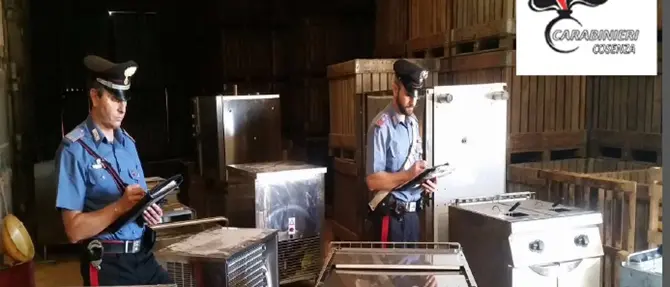 Materiale per la ristorazione rubato: una denuncia nel Cosentino