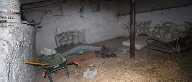 Immigrati vivevano in stalle e porcili, 49 denunce nella sibaritide - VIDEO