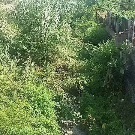 Lamezia, Gigliotti: «Le condizioni del torrente Cantagalli sono pietose»