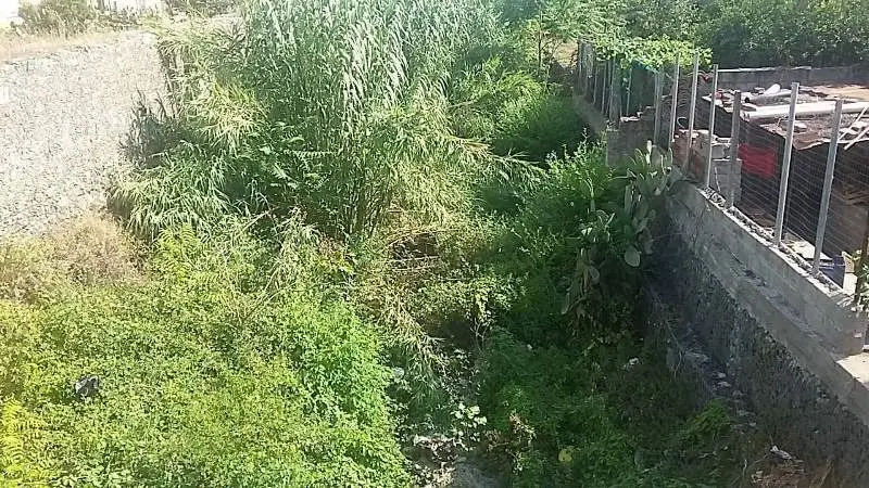 Lamezia, Gigliotti: «Le condizioni del torrente Cantagalli sono pietose»