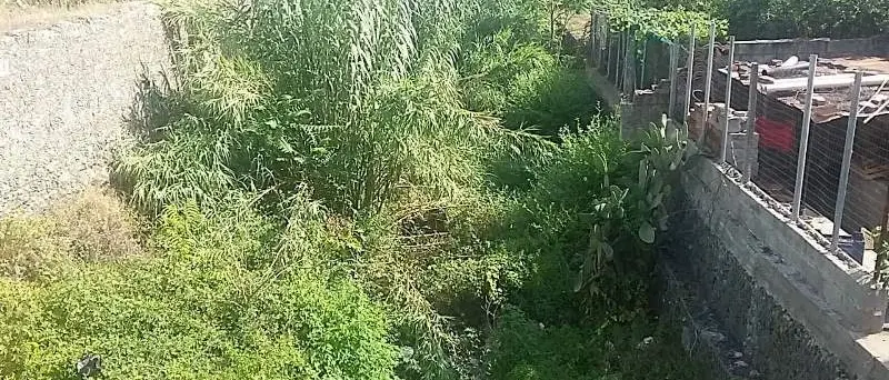 Lamezia, Gigliotti: «Le condizioni del torrente Cantagalli sono pietose»