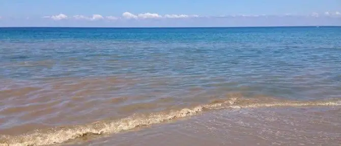 Mare sporco, Giudiceandrea: «Il problema va affrontato e risolto subito»