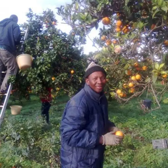 In Calabria ancora lavoro ai limiti della schiavitù