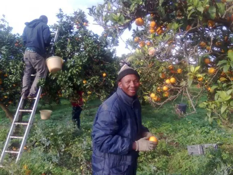 In Calabria ancora lavoro ai limiti della schiavitù