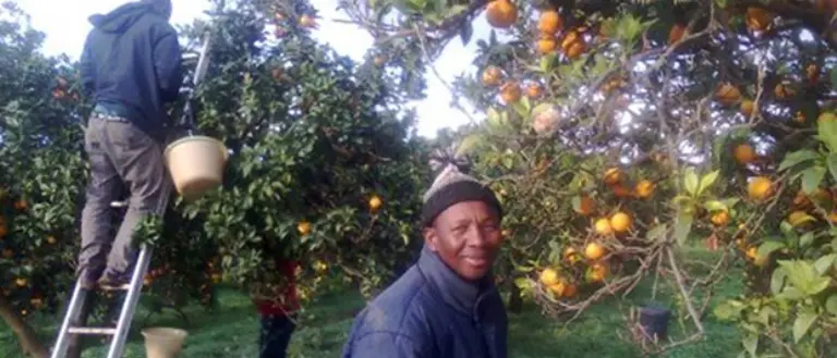 In Calabria ancora lavoro ai limiti della schiavitù