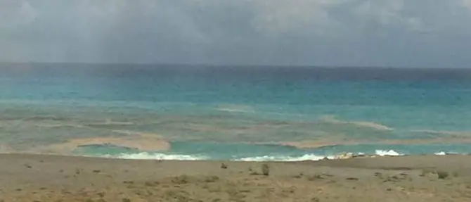 Qualità del mare: l'Arpacal di Cosenza boccia Paola, Falconara Albanese e Longobardi