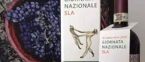 Anche in Calabria, il 18 settembre, si celebrerà la Giornata nazionale Sla