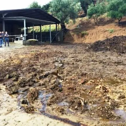 Irregolare gestione di reflui e rifiuti, sequestata azienda agricola a Rossano