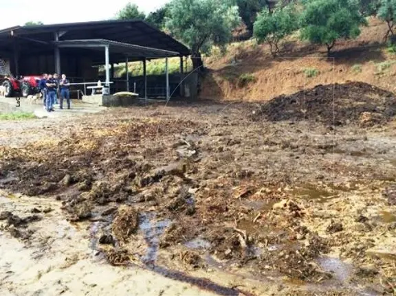 Irregolare gestione di reflui e rifiuti, sequestata azienda agricola a Rossano