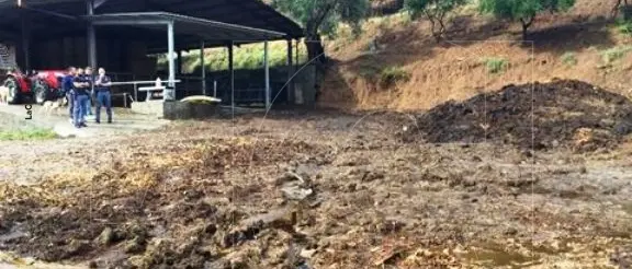 Irregolare gestione di reflui e rifiuti, sequestata azienda agricola a Rossano