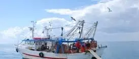Pesca, Corigliano e Crotone insieme per lo sviluppo locale