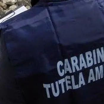 Discarica abusiva sequestrata a San Nicola dell'Alto, una denuncia