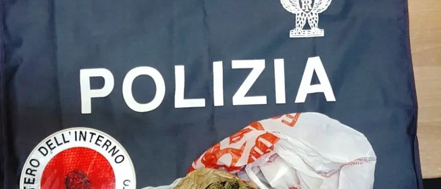 Detenzione di sostanze stupefacenti, in manette un vibonese