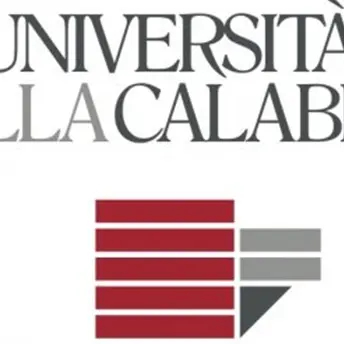 L’ Unical è tra i 400 migliori atenei mondiali