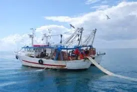 Cetraro: pescatori dispersi e poi ritrovati, scatta la sanzione pecuniaria