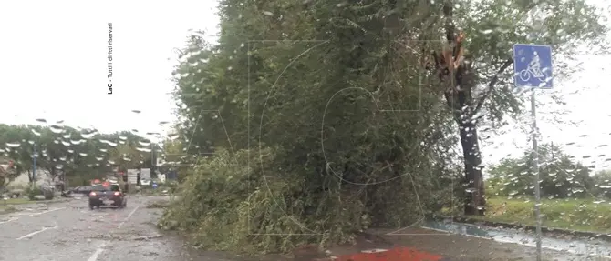 Tromba d'aria a Lamezia, sospeso il consiglio comunale -FOTO