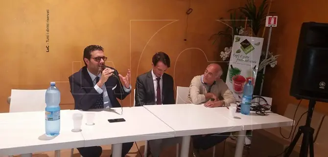 Ernesto Carbone: «Votare Sì contribuirà a cambiare questo Paese» -VIDEO