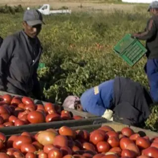 Aumentano gli stranieri residenti in Calabria