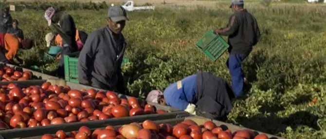 Aumentano gli stranieri residenti in Calabria