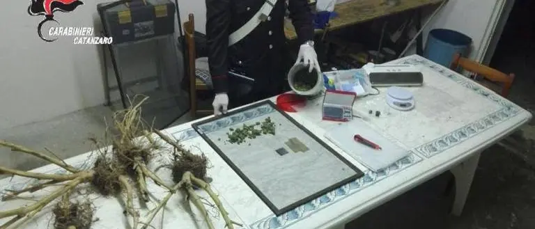 Nicastro, scoperto un laboratorio della droga