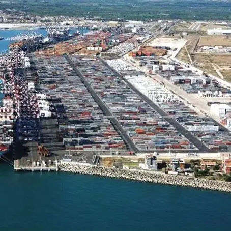 Porto di Gioia Tauro, maxisequestro di prodotti contraffatti