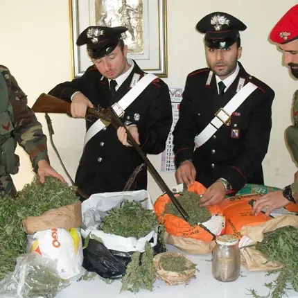 In un casolare 4 chili di marijuana e un fucile: due arresti nel Reggino