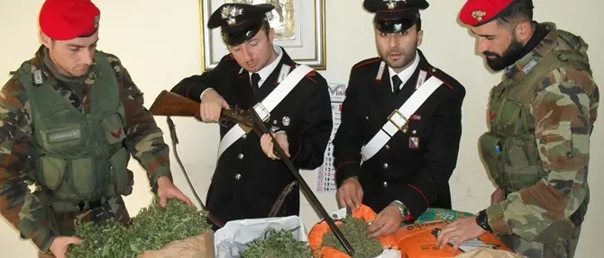 In un casolare 4 chili di marijuana e un fucile: due arresti nel Reggino