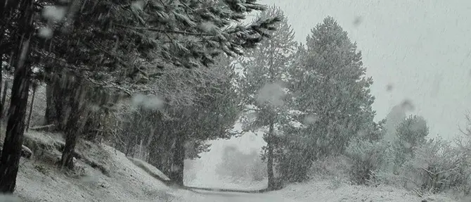 Prima neve in Sila, piove sul resto della Regione