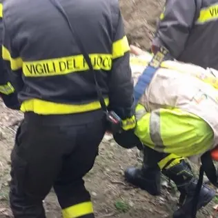Tragedia nella Locride: allevatore cade in un dirupo e muore