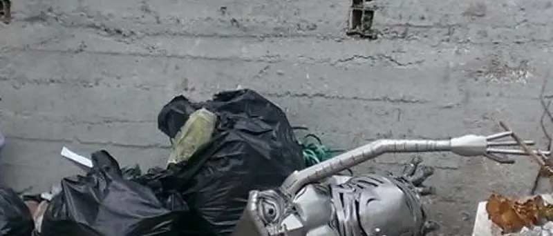 Rimossa la statua di ET, il sindaco di Zagarise si difende