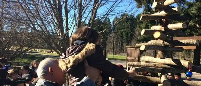 Un albero di Natale speciale per il Centro Visita del Cupone del Corpo Forestale