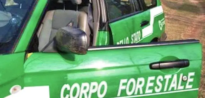 Rocce da scavo e sabbia prelevate abusivamente: sequestrata cava nel Cosentino