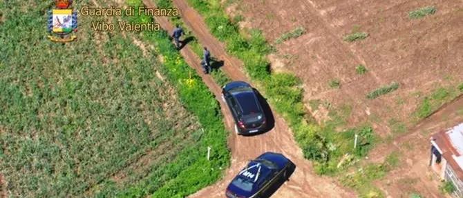 Vibo, maxi truffa ai danni dell’Inps: scoperti 200 falsi braccianti