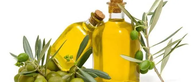Igp, l’ olio di Calabria ottiene la tutela Ue