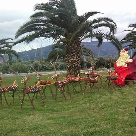 Aria di Natale a Lamezia, così la città si veste a festa (FOTO)