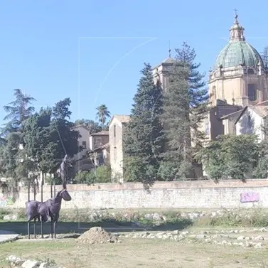 A caccia del tesoro di Alarico, Occhiuto ci crede ancora