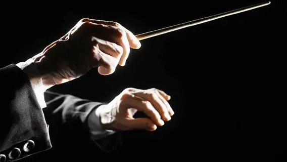 Orchestra conductor hands baton. Music director holding stick