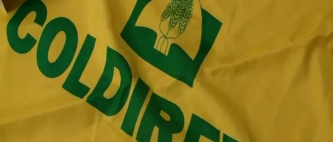 Allarme speculazioni, la Coldiretti: «Per gli ortaggi rincari del 200 per cento»