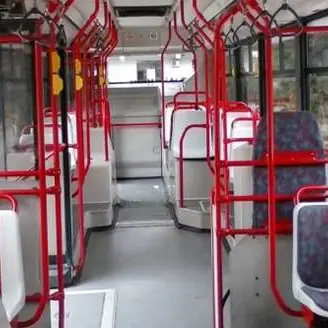 Da San Ferdinando a Gioia Tauro e Palmi: introdotta una nuova linea bus