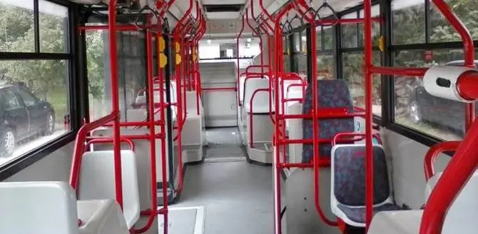 Da San Ferdinando a Gioia Tauro e Palmi: introdotta una nuova linea bus