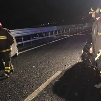 Scontro tra auto a Catanzaro: muore un 54enne