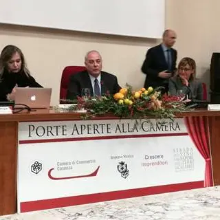 Cosenza, successo per “Porte aperte alla Camera”