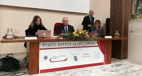 Cosenza, successo per “Porte aperte alla Camera”